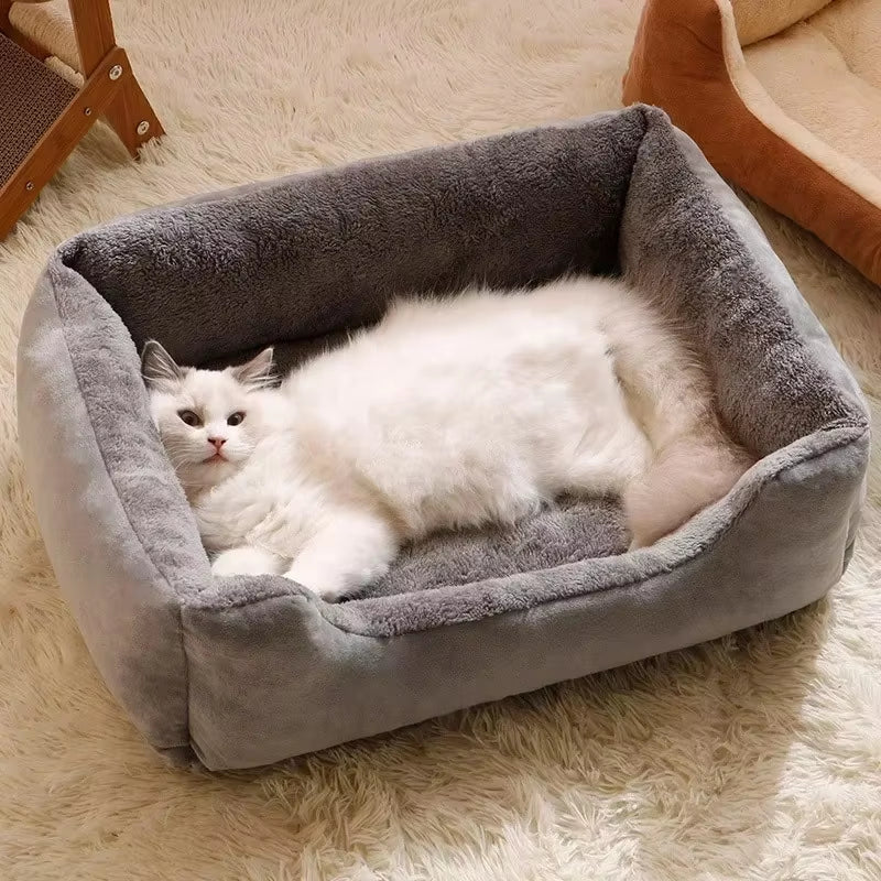 Bed for Pet