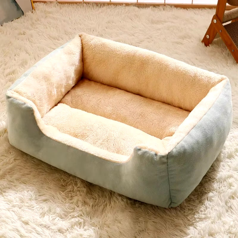 Bed for Pet