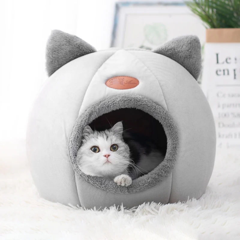 Comfort in Winter Bed