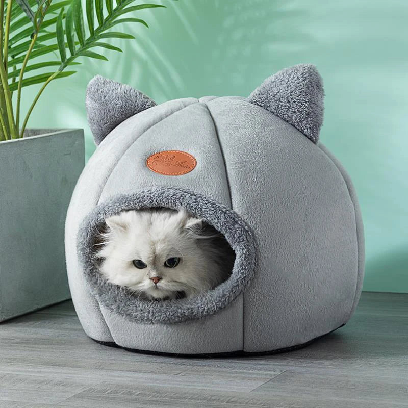Comfort in Winter Bed