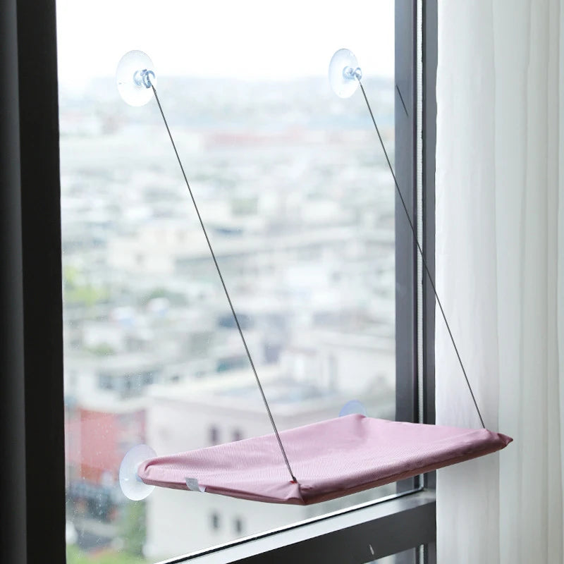 Cat Bed on Window