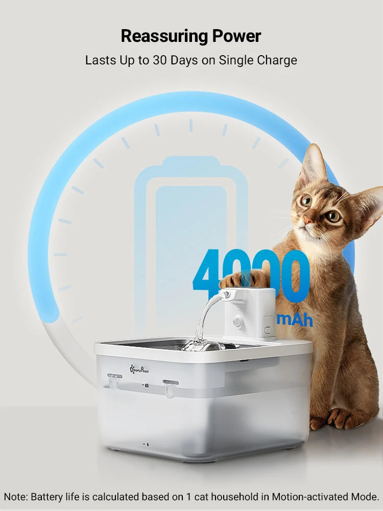 Automatic Water Fountain with Sensor