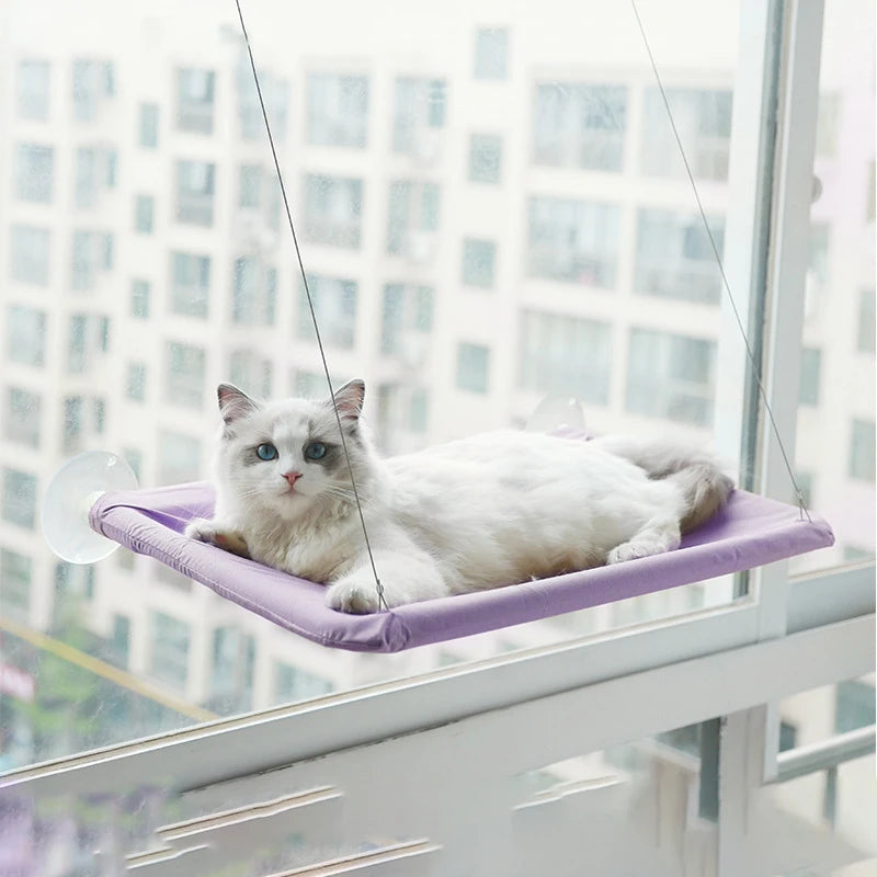 Cat Bed on Window