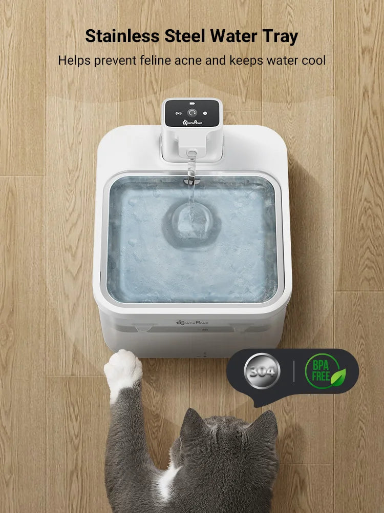 Automatic Water Fountain with Sensor