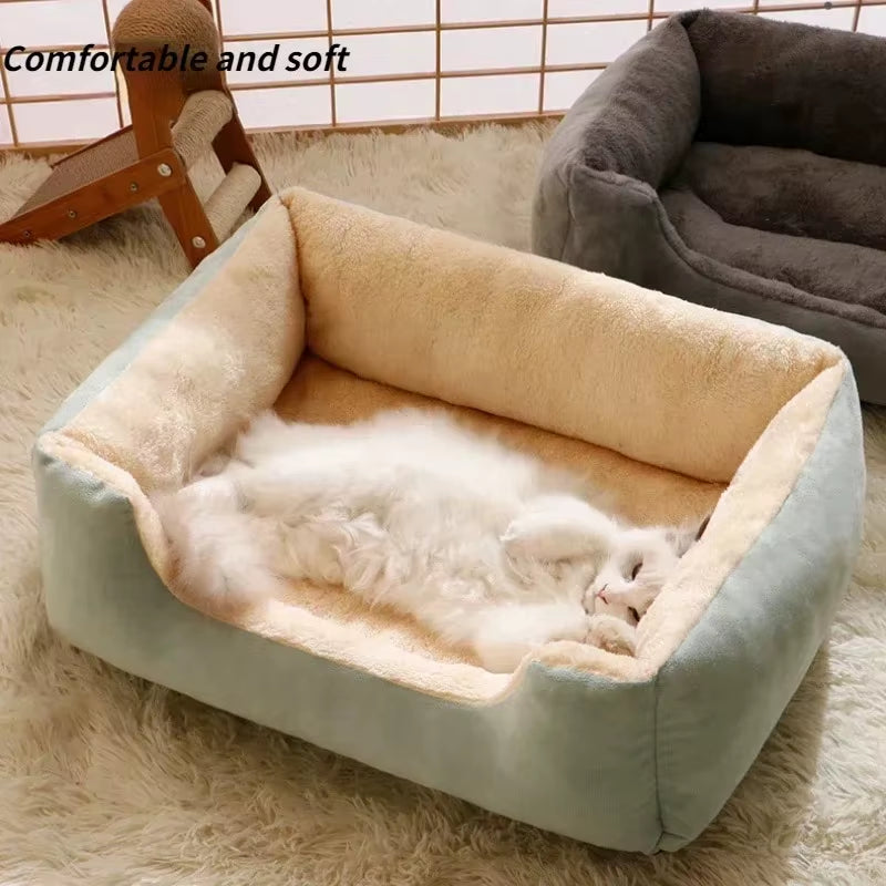 Bed for Pet