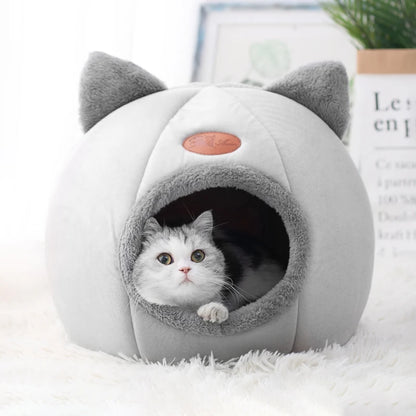  Comfort in Winter Bed 