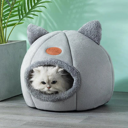  Comfort in Winter Bed 