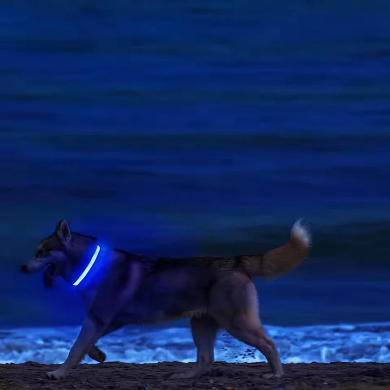 LED Glow in the Dark Dog Leash