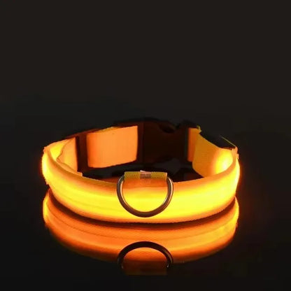 LED Glow in the Dark Dog Leash
