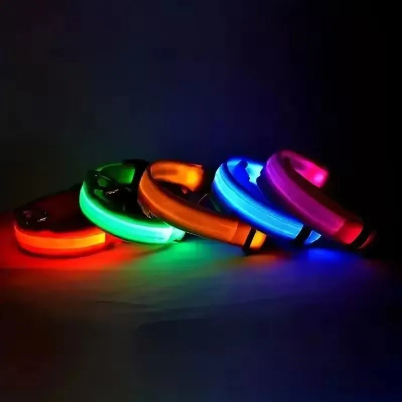 LED Glow in the Dark Dog Leash