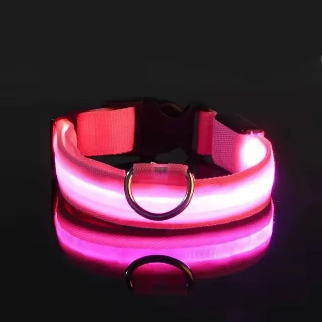 LED Glow in the Dark Dog Leash