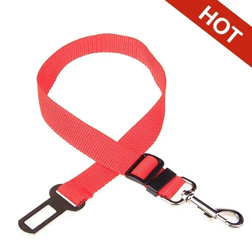 Adjustable Pet Seat Belt In Car