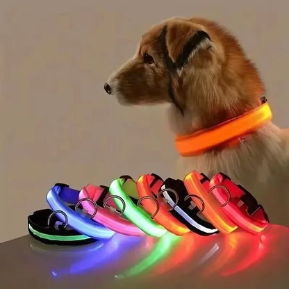 LED Glow in the Dark Dog Leash