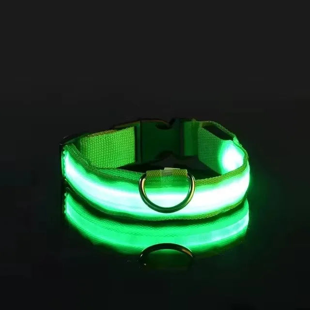 LED Glow in the Dark Dog Leash
