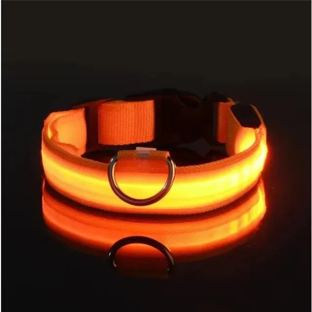 LED Glow in the Dark Dog Leash