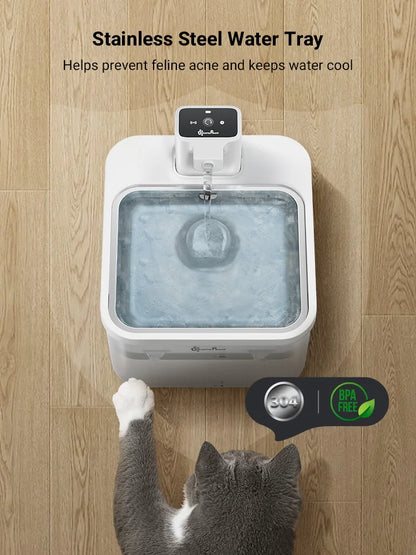 Automatic Water Fountain with Sensor