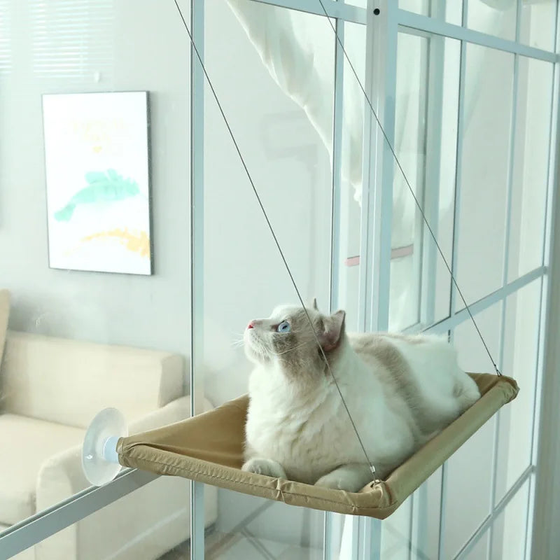 Cat Bed on Window