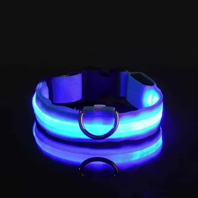 LED Glow in the Dark Dog Leash